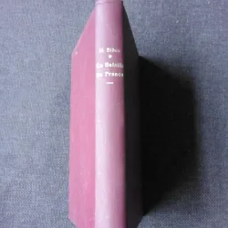 LA BATAILLE DE FRANCE - HENRY BIDOU  (CARTE IN LIMBA FRANCEZA)