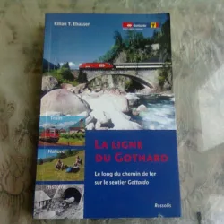 LA LIGNE DU GOTHARD - KILIAN T. ELSASSER  (CARTE IN LIMBA FRANCEZA)