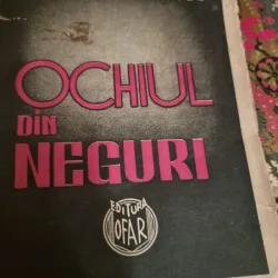 Ladmiss Andreescu - Ochiul din Neguri