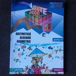 Mate 2000+10/11, Aritmetica, algebra, geometrie clasa 5, partea II - Sorin Peligrad