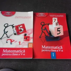 Matematica pentru clasa a v-a - Marius Perianu  2 volume
