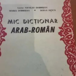 Mic dictionar arab-roman - Nicolae Dobrisan