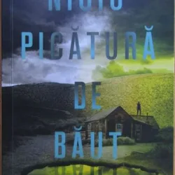 Mindy McGinnis - Nicio Picatura de Baut