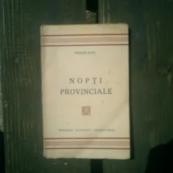 Nopti provinciale - Stelian Cucu