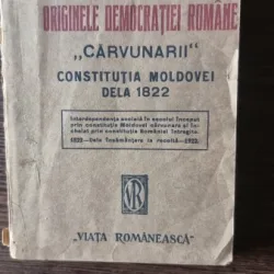 Originele democratiei romanesti, Carvunarii, Constitutia Moldovei de la 1822 - D.V. Barnoschi