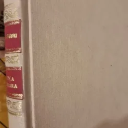 Pagini de critica literara - Vladimir Streinu