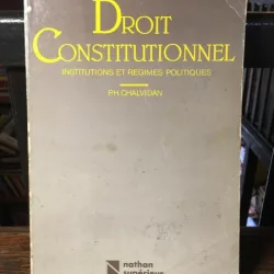 Pierre-Henri Chalvidan - Droit Constitutionnel
