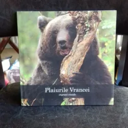 PLAIURILE VRANCEI. IMPRESII VIZUALE