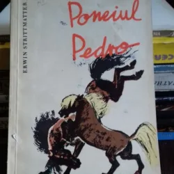 PONEIUL PEDRO - ERWIN STRITTMATTER