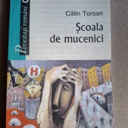 Scoala de Mucenici - Calin Torsan