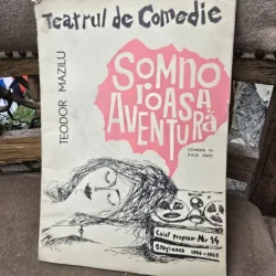 Somnoroasa aventura - Teodor Mazilu caiet program teatru