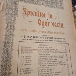Spicuitor in Ogor Vecin