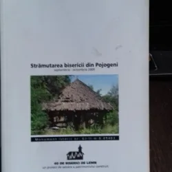 STRAMUTAREA BISERICII DIN POJOGENI