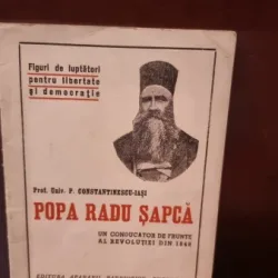 Univ. P. Constantinescu-Iasi - Popa Radu Sapca