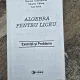 Algebra pentru liceu. Exercitii si probleme - Marian Andronache, Niculae Ghiciu, Ion Savu