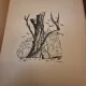 Aurel Baranga , Marea furtuna; Poeme