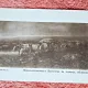 Carte postala, Aprovizionarea Armatei in Timpul Razboiului 1877/Grigorescu
