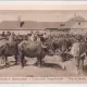 Carte postala circulata in anul 1916 Sibiu