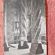 Carte postala, Manastirea Curtea de Arges, interior