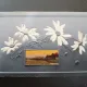Carte postala peisaj si flori de colt, inceput de secol XX