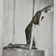 Carte postala, Rugaciunea de C. Brancusi, perioada de inceput a comunismului