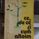 CE, DE CE SI CUM ALTOIM - STELIAN BECHET