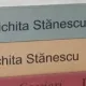 CRasu-Plansu lui Nichita Stanescu - Laurian Stanchescu volumul I+II