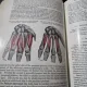 D. V. Davies, R. E. Coupland - Gray's Anatomy Descriptive and applied - Thirty-Fourth edition