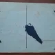 Fotografie tip carte postala, necirculata, grup de militari, inceput de secol XX