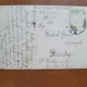 Fotografie tip carte postala, profil de femeie, 1913