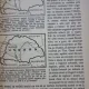 Geopolitica si Geoistoria - anul I