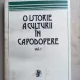 O istorie a culturii in capodopere - Al. Tanase volumul I