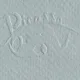 Pablo Picasso - Femme dan un chale (Femeie cu sal), litografie originala