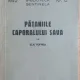 Pataniile caporalului Sava - Elie Buftnea
