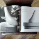Radu Varia - Brancusi