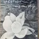 Tennessee Williams - 27 Wagons Full of Cotton and other one-act plays